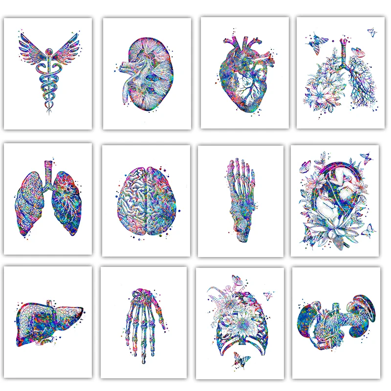 Medical Lab Posters - Anatomiczny plakat medyczny Kwiatowy organ Sztuka
