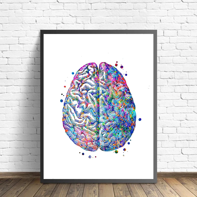 Anatomy Medical Poster Flower  – Medical Lab Posters recenzja i cena