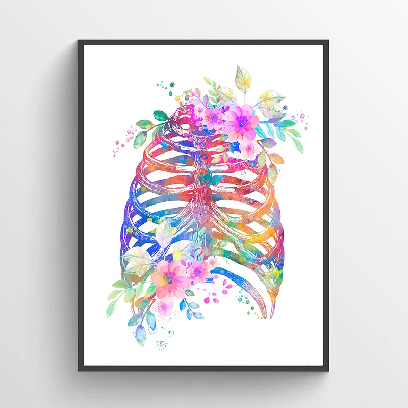 Anatomia, plakat medyczny, kwi – Medical Lab Posters recenzja i cena