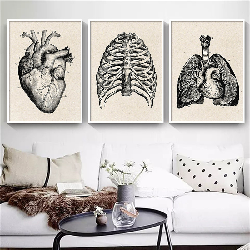 Anatomia medyczna grafika na p – Medical Lab Posters recenzja i cena