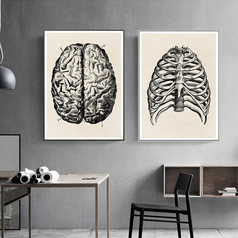 Anatomia medyczna grafika na p – Medical Lab Posters recenzja i cena