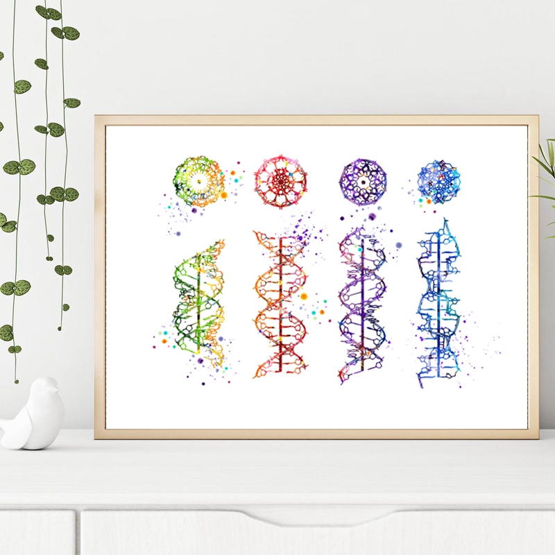 DNA Molecule Print Modern Medi – Medical Lab Posters recenzja i cena